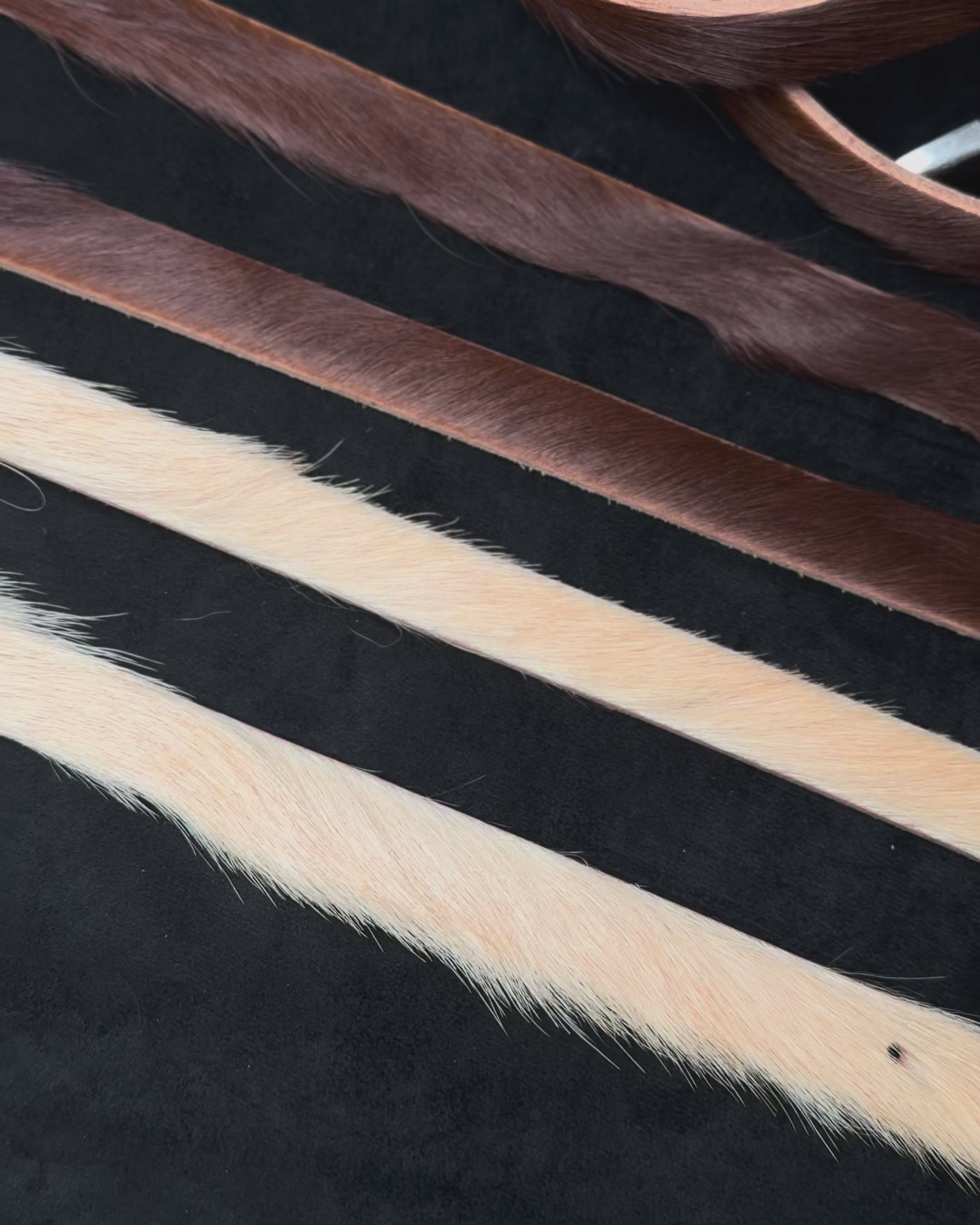 Set of leather Western Belt showcasing details